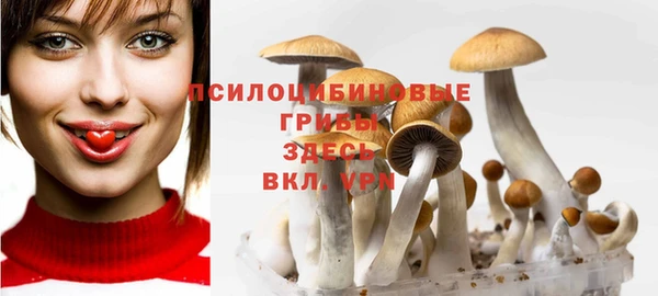 MDMA Premium VHQ Белокуриха