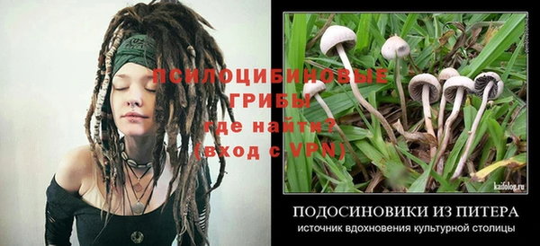 MDMA Premium VHQ Белокуриха
