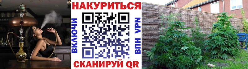 Каннабис SATIVA & INDICA  сайты даркнета клад  Кстово 